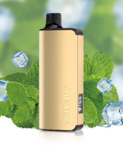 ALIBARBAR INGOT 9000 PUFF – COOL MINT