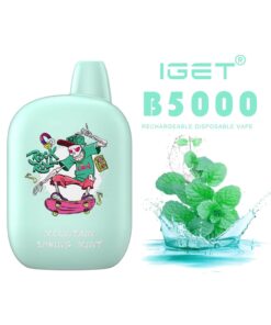 iGET B5000 VAPE 5000 PUFF – MOUNTAIN SPRING MINT