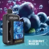 ALIBARBAR UPLOAD 25000 PUFFS – Blueberry Breeze